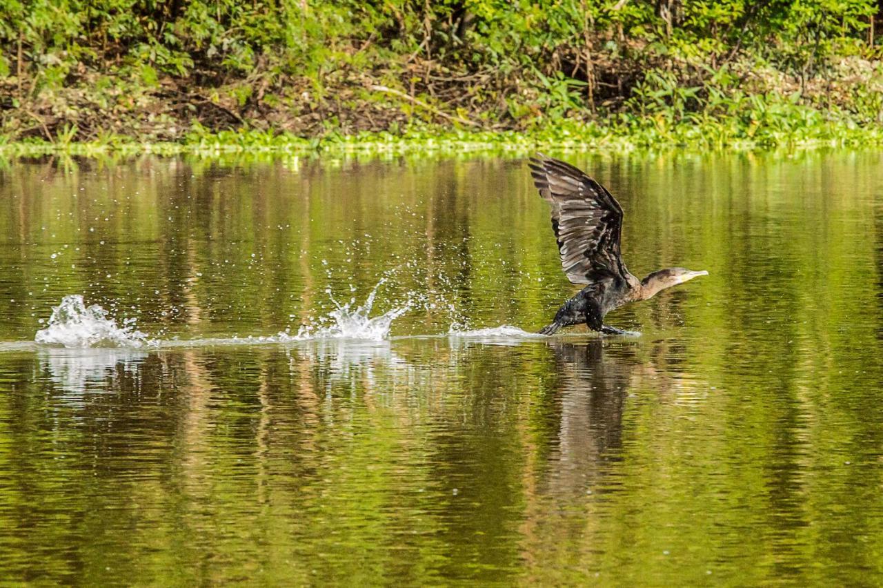 Amazon Muyuna Lodge Paraíso Екстериор снимка