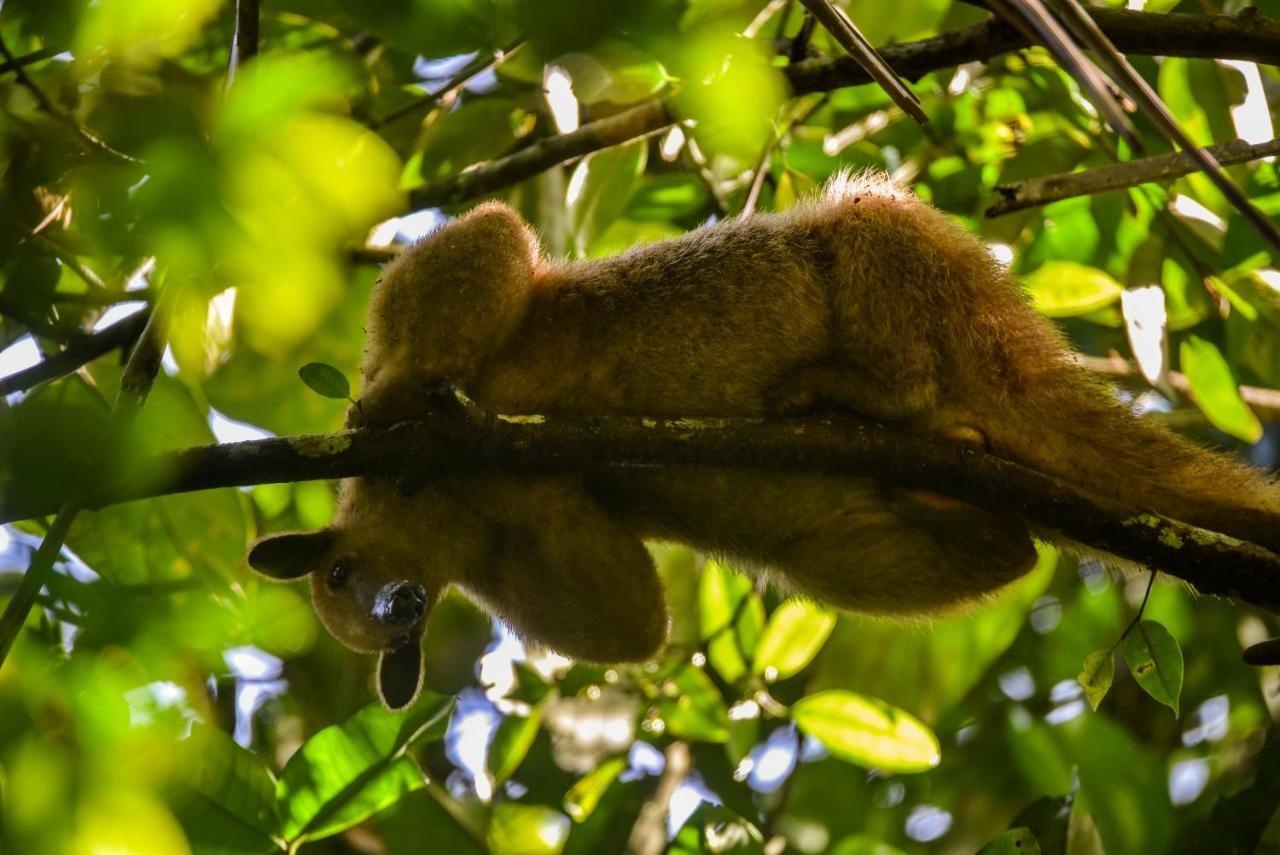 Amazon Muyuna Lodge Paraíso Екстериор снимка