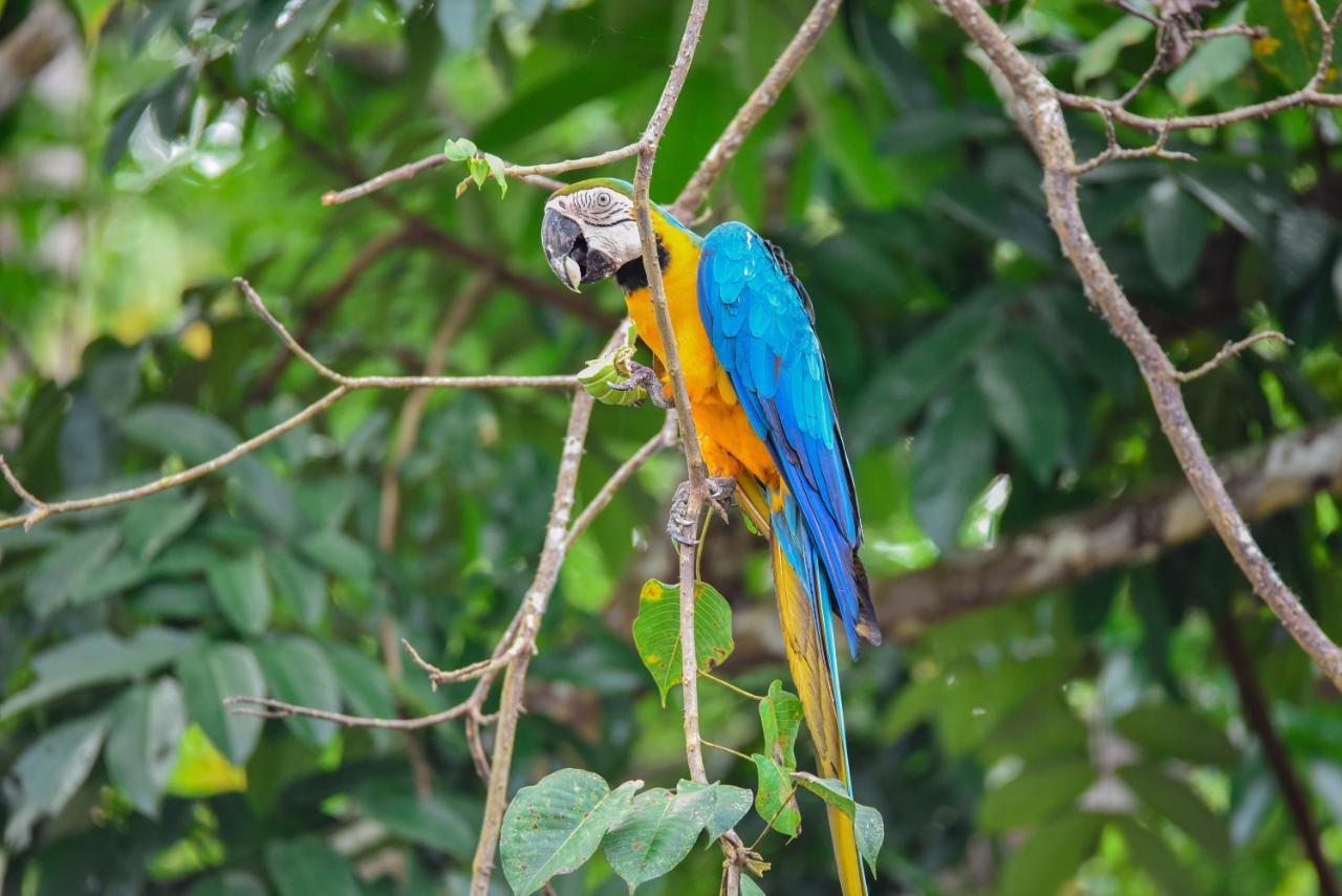 Amazon Muyuna Lodge Paraíso Екстериор снимка
