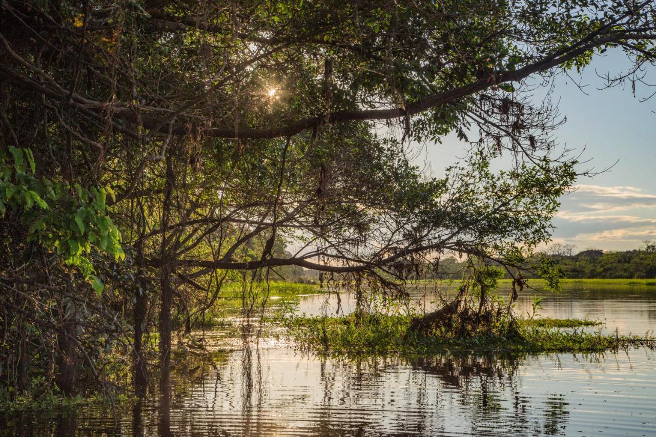 Amazon Muyuna Lodge Paraíso Екстериор снимка