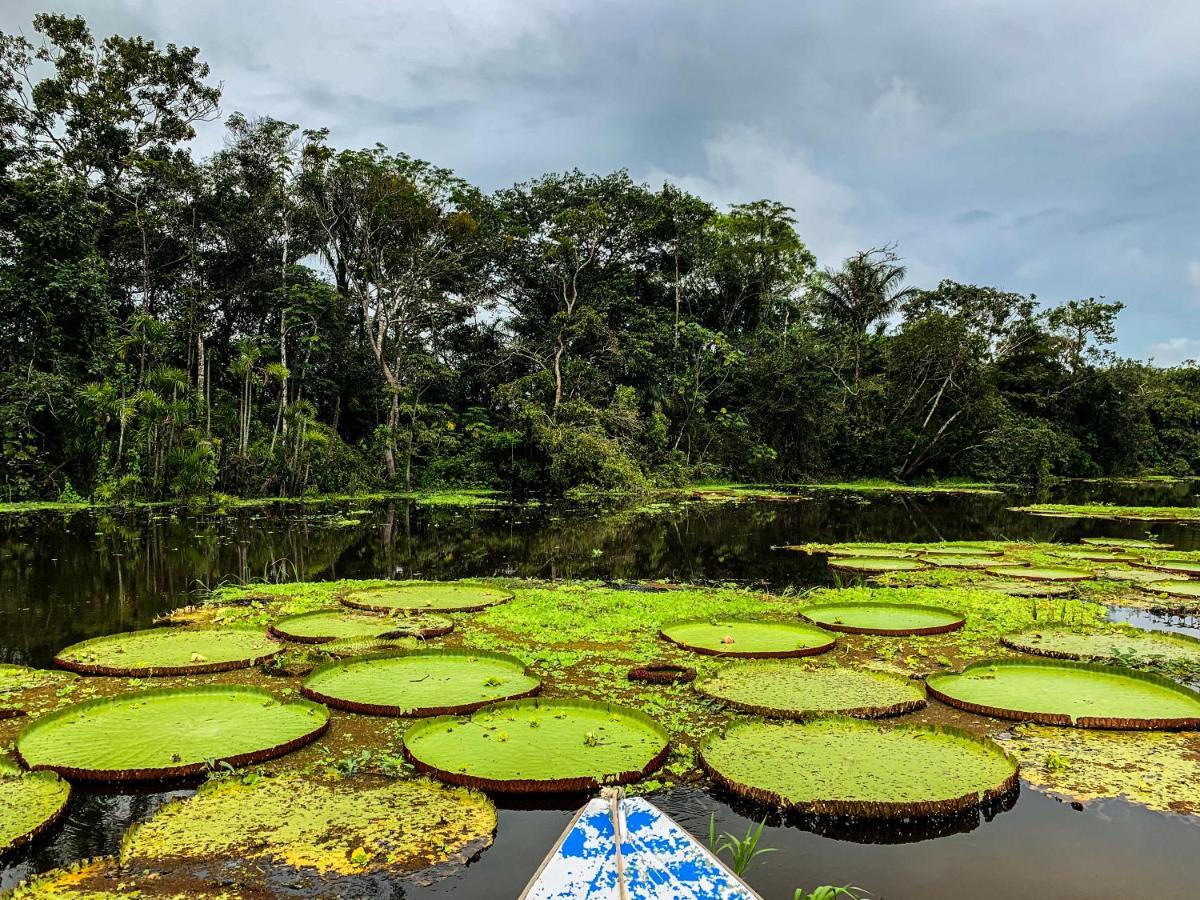 Amazon Muyuna Lodge Paraíso Екстериор снимка